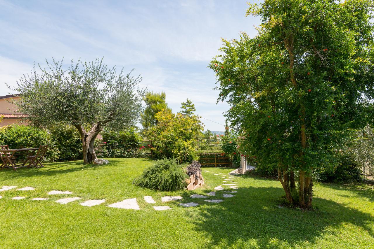 B&B Terramare Castorano  Dış mekan fotoğraf